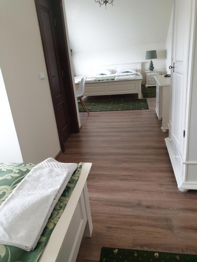 Pensiunea Gradina Verde Becicherecu Mic Экстерьер фото